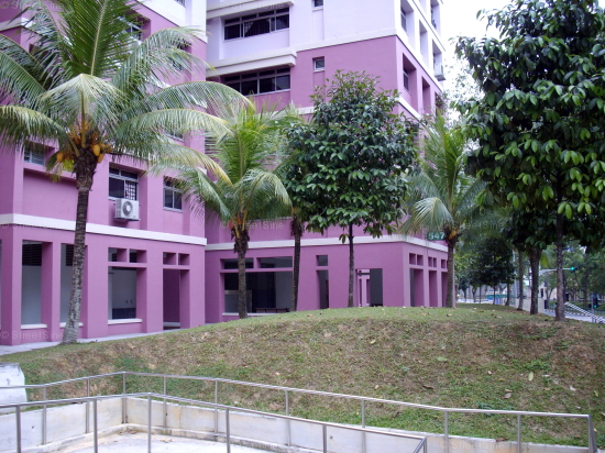 Blk 547 Choa Chu Kang Street 52 (Choa Chu Kang), HDB 5 Rooms #64182